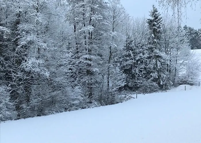 Neuses Am Brand ベッド・アンド・ブレックファスト